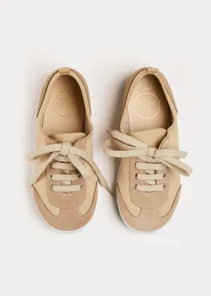 Lace Up Plimsolls in Taupe (24-35EU)